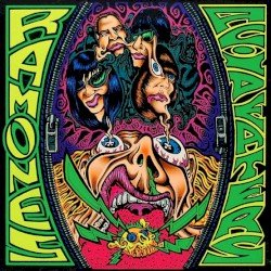 Acid Eaters Cover