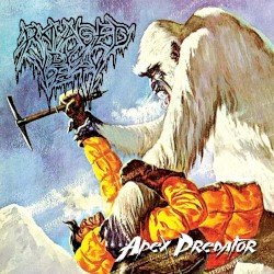Apex Predator Cover
