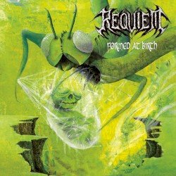 Formed at Birth Cover