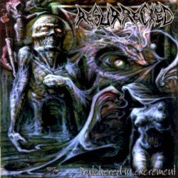 Butchered in Excrement Cover