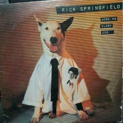 Working Class Dog Cover