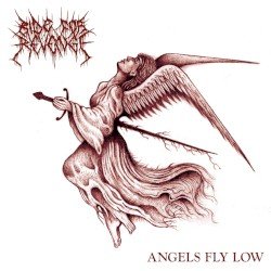 Angels Fly Low Cover