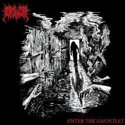 Enter the Gauntlet Cover