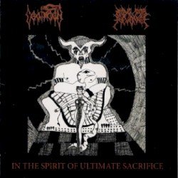 In the Spirit of Ultimate Sacrifice Cover