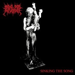 Sinking The Song Cover