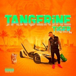 Tangerine Tiger Cover