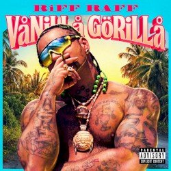 Vanilla Gorilla Cover
