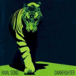 Darkfighter Cover