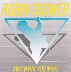 Take What You Need Cover