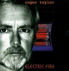 Electric Fire Cover