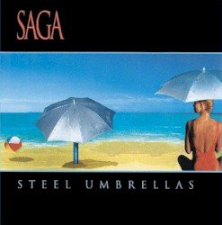 Steel Umbrellas Cover