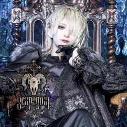 大罪 Cover