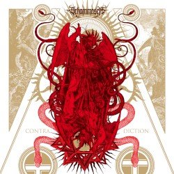 Contradiction Cover