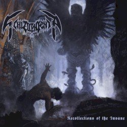 Recollections of the Insane Cover