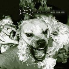 Pure Motorized Instinct Cover