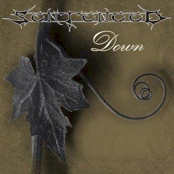 Down Cover