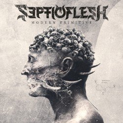 Modern Primitive Cover
