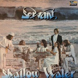 Shallow Water Cover