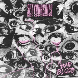 Bad Blood Cover