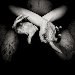 X: Varg utan flock Cover