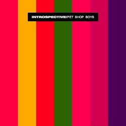 Introspective Cover