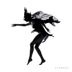 Siamese Cover