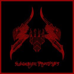Sumerian Promises Cover