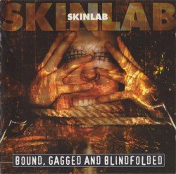 Bound, Gagged and Blindfolded Cover