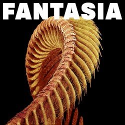 Fantasia Cover