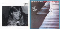 Bird of Paradise Cover