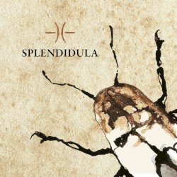 Splendidula Cover