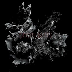 Love & Decay Cover