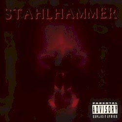 Killer Instinkt Cover