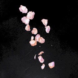 Stolen Youth Cover