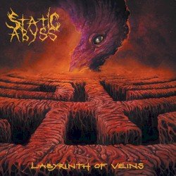Labyrinth of Veins Cover