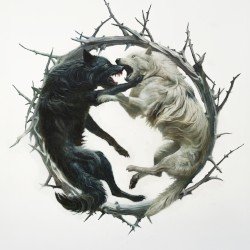Phantom : : Phoenix Cover