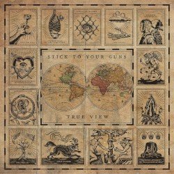 True View Cover