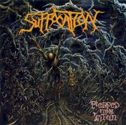 Pierced From Within Cover
