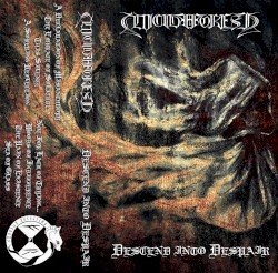 Descend Into Despair Cover