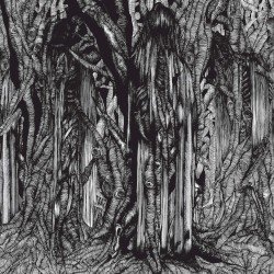 Black One Cover