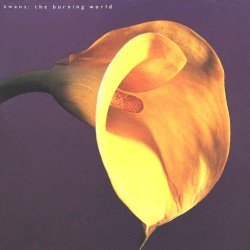 The Burning World Cover