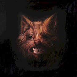 The Seer Cover