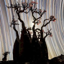Music for Focus and Creativity Cover