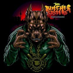 Respekt und Robustheit Cover