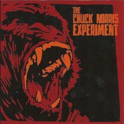 The Chuck Norris Experiment Cover