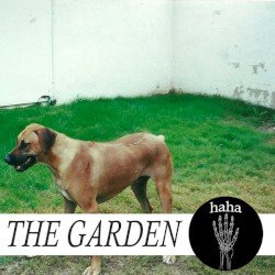 haha Cover