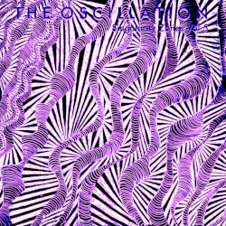 Singularity Zones Vol.5 Cover