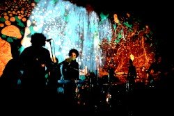 The Oscillation Live at Audio Underground 2011 Cover