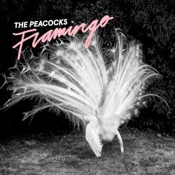 Flamingo Cover