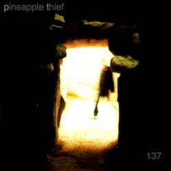 137 Cover
